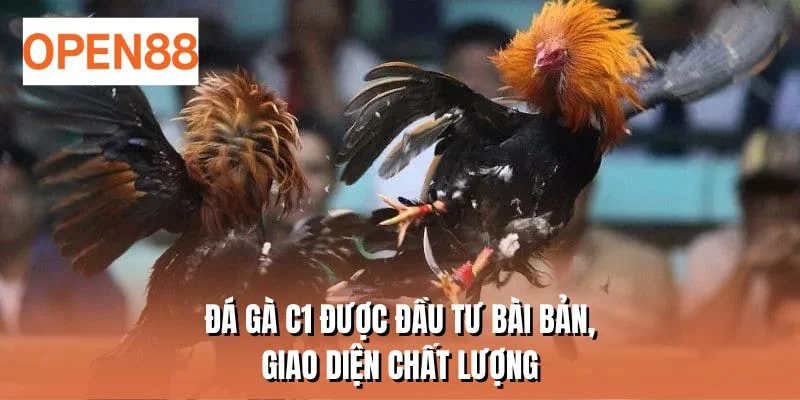Đá gà C1 được đầu tư bài bản, giao diện chất lượng