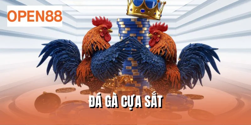 đá gà cựa sắt