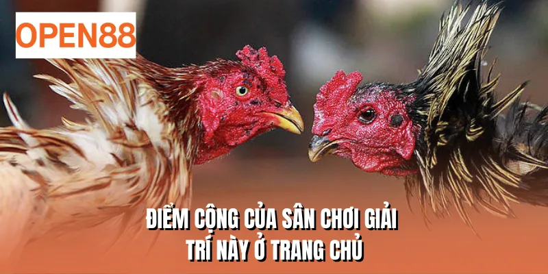 Điểm cộng của sân chơi giải trí này ở trang chủ